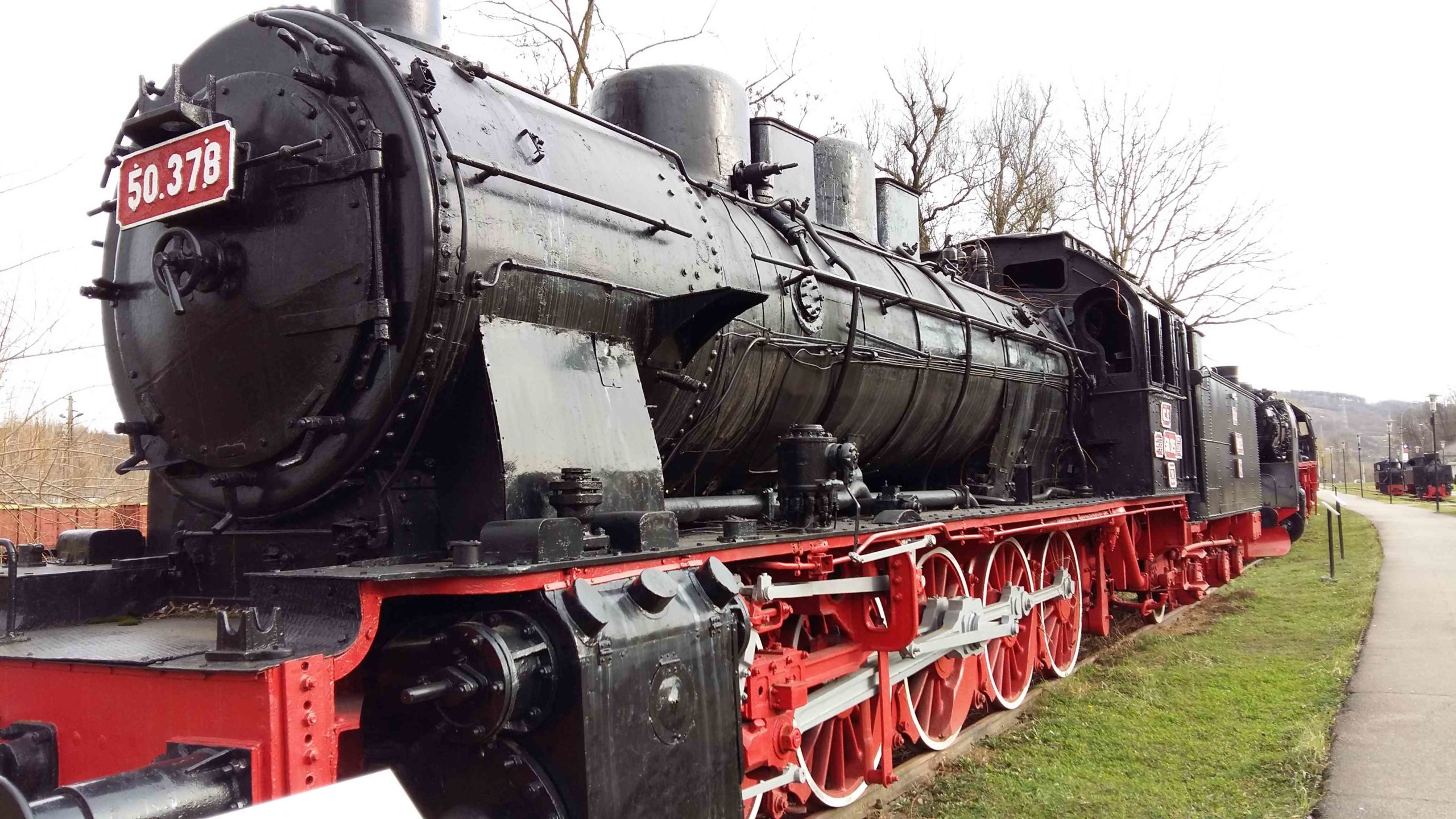 resita zoo si locomotive (6)