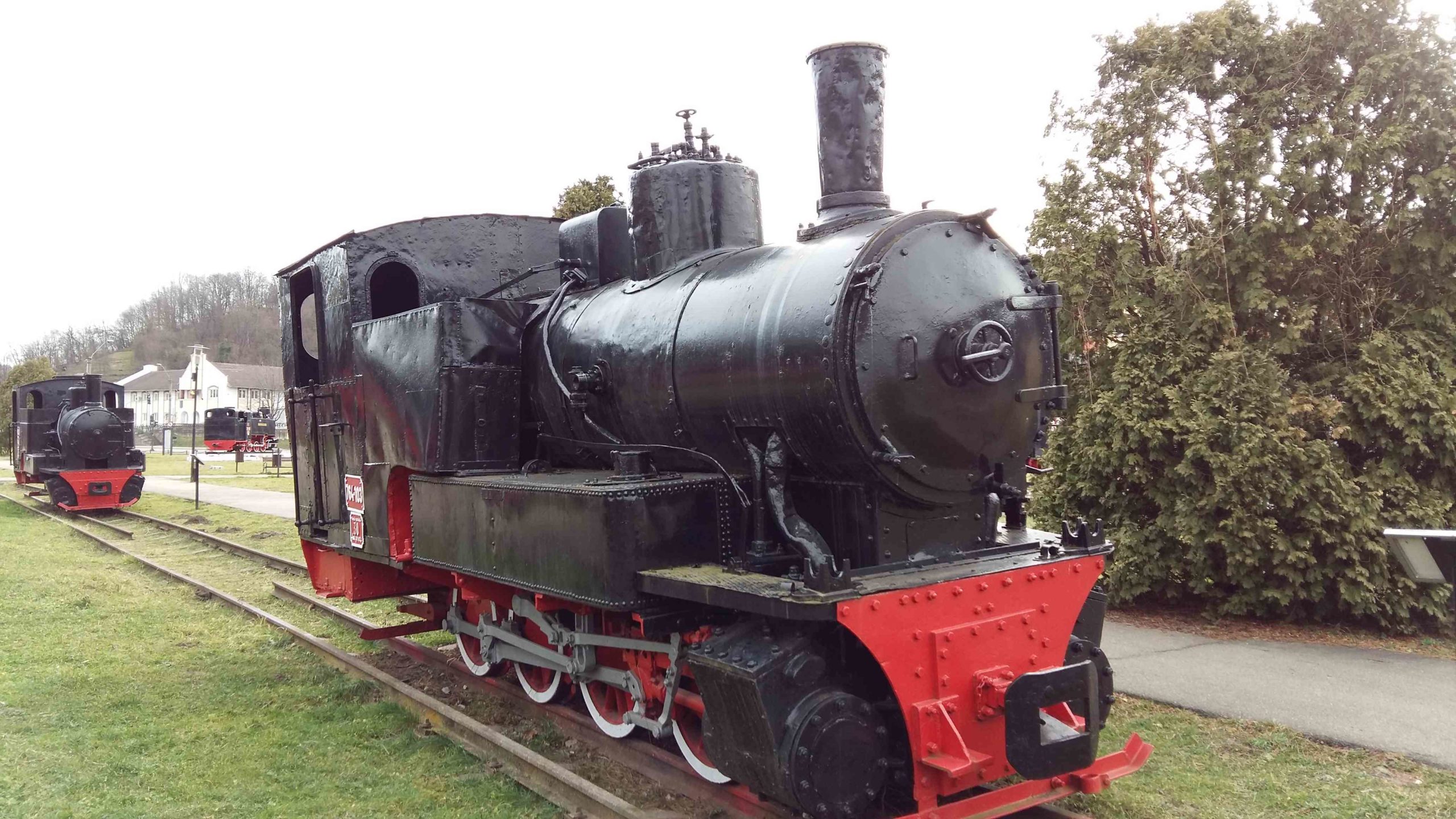 resita zoo si locomotive (7)