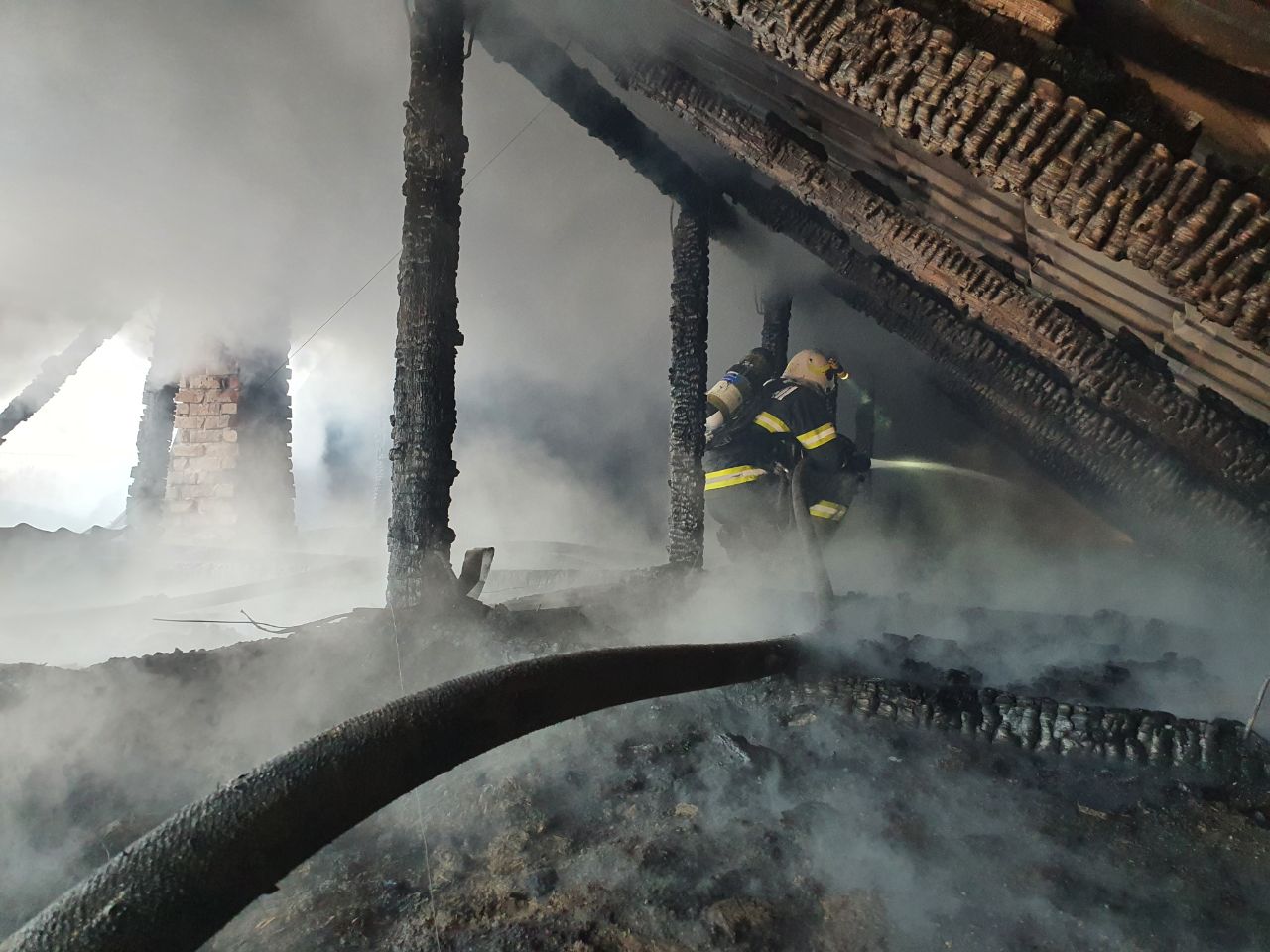 WhatsApp Image 2021-02-15 at 20.16.16