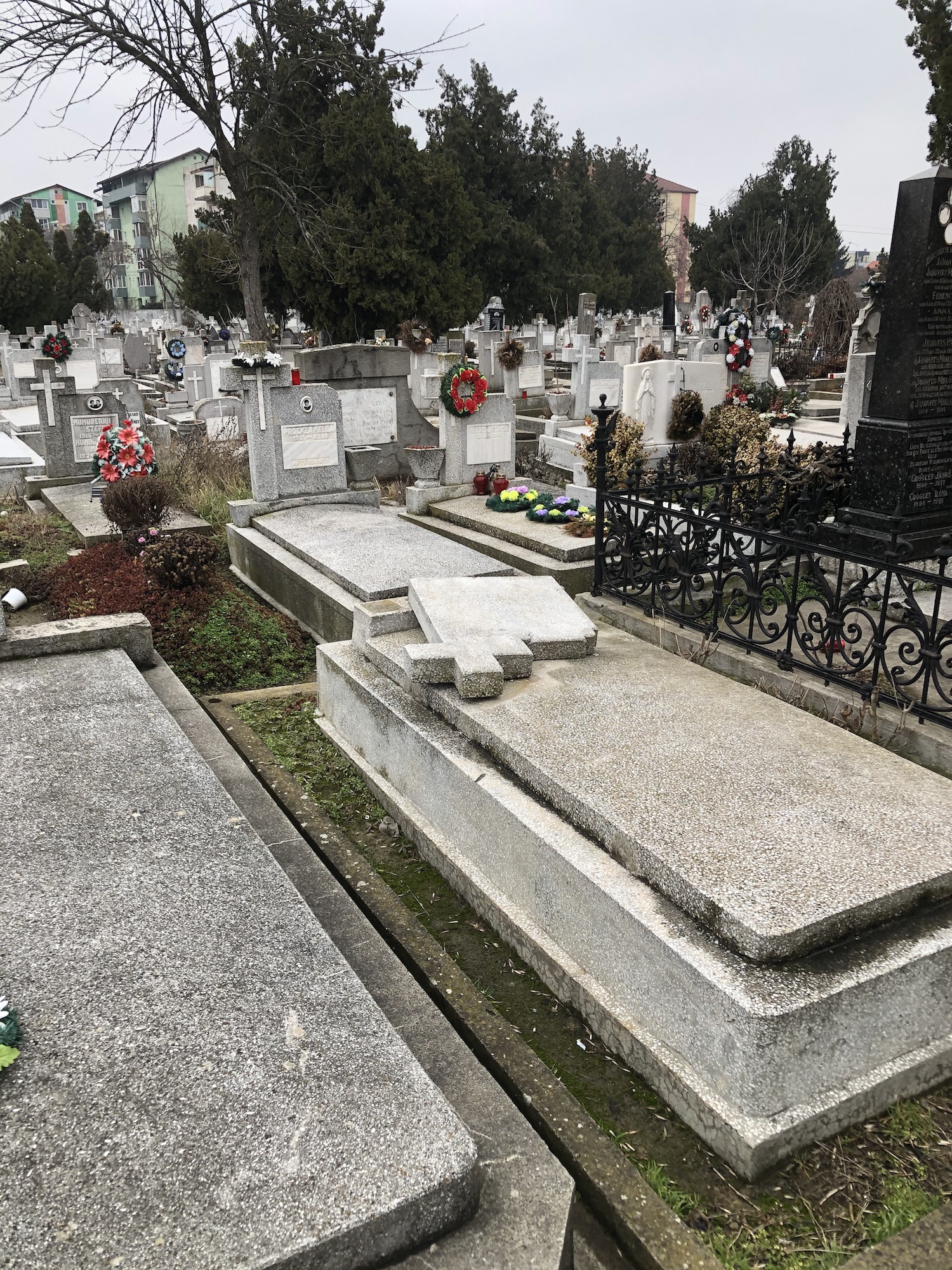 Pietre funerare sparte într-un cimitir din Timișoara
