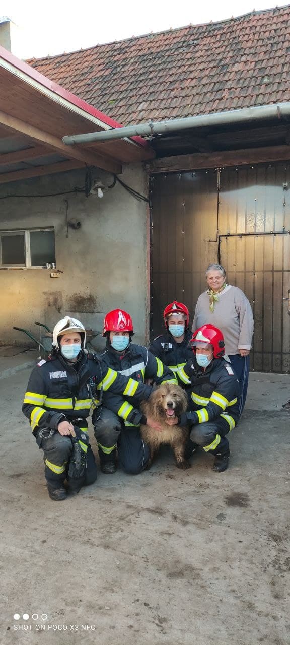 Cățel salvat de pompieri dintr-un puț adânc de 10 metri, la Buziaș