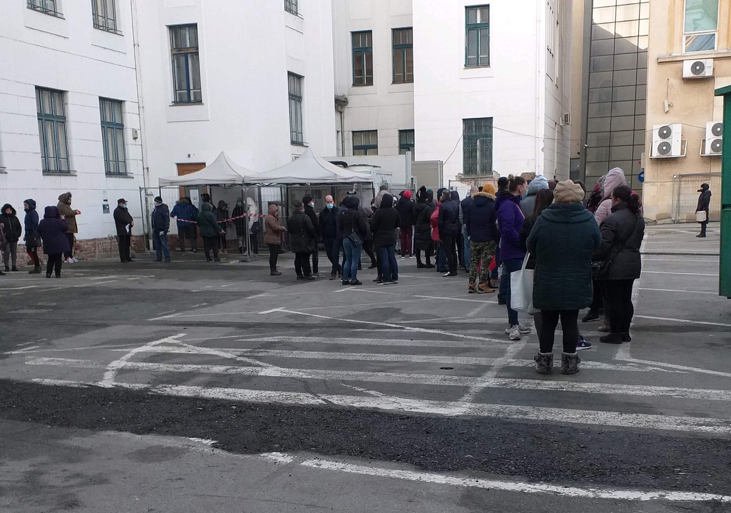 coada martisoare curte primarie 2