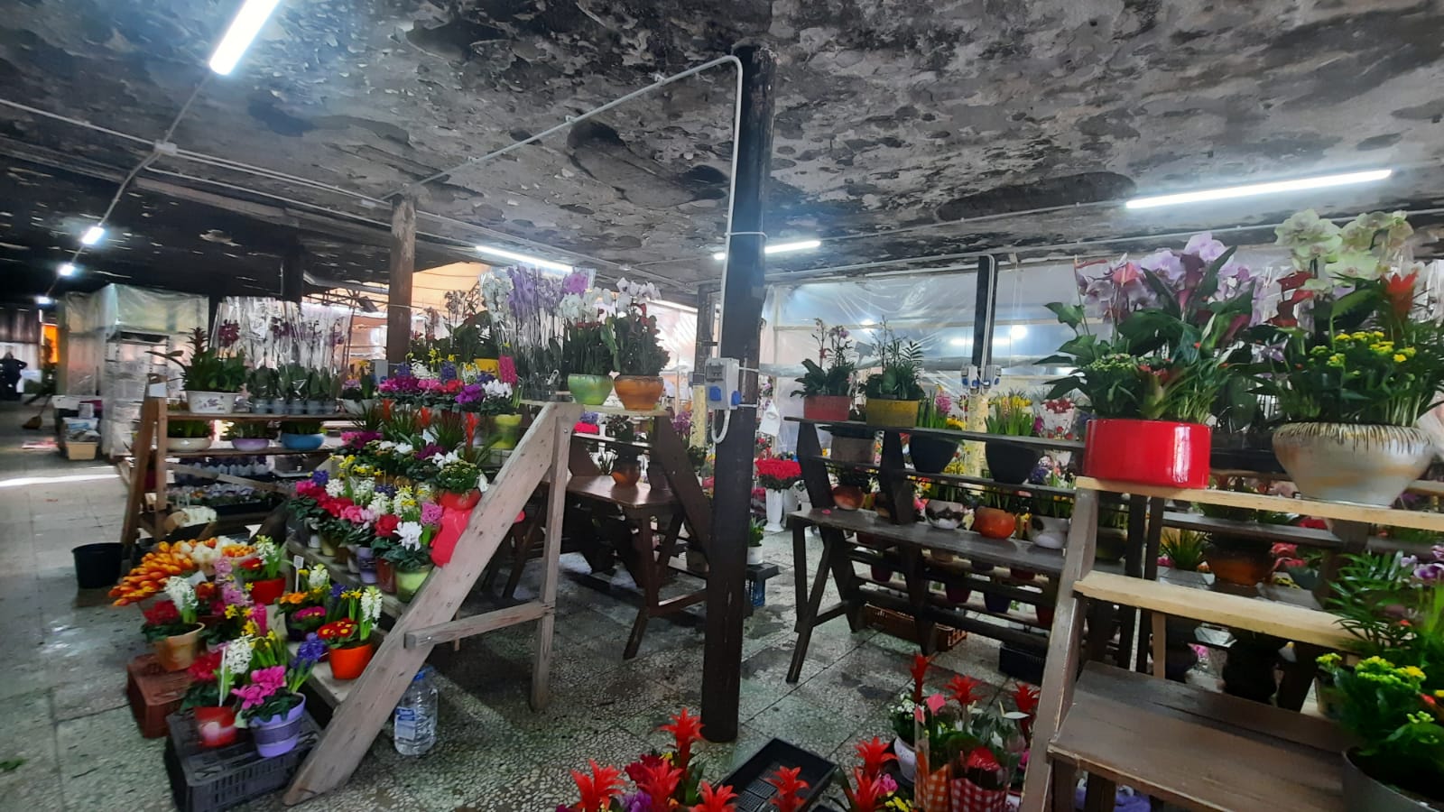 Piața de flori din 700
