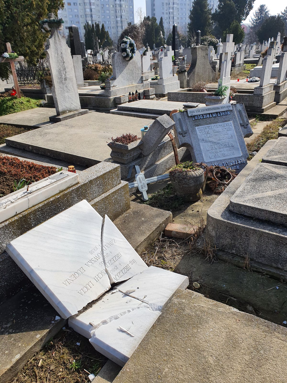 cimitire mizerie (5)