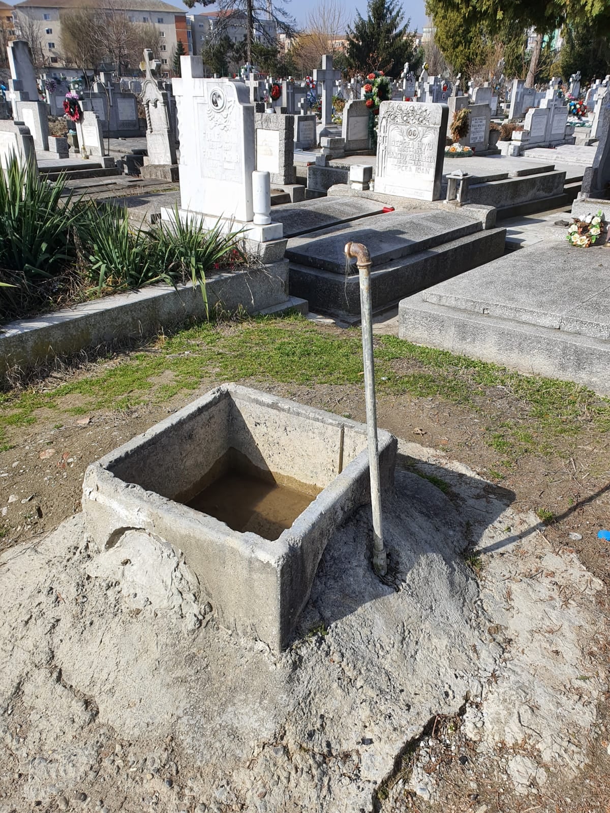 cimitire mizerie (7)