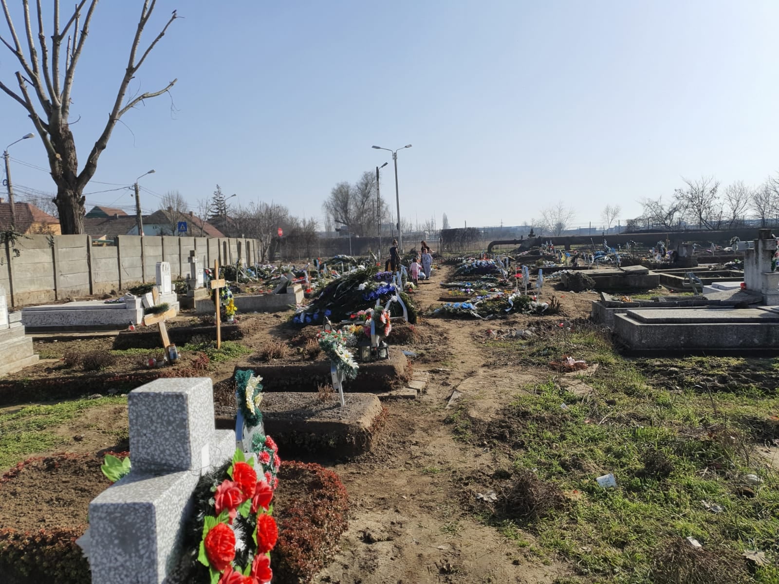 Dezastru în unele cimitire din Timișoara