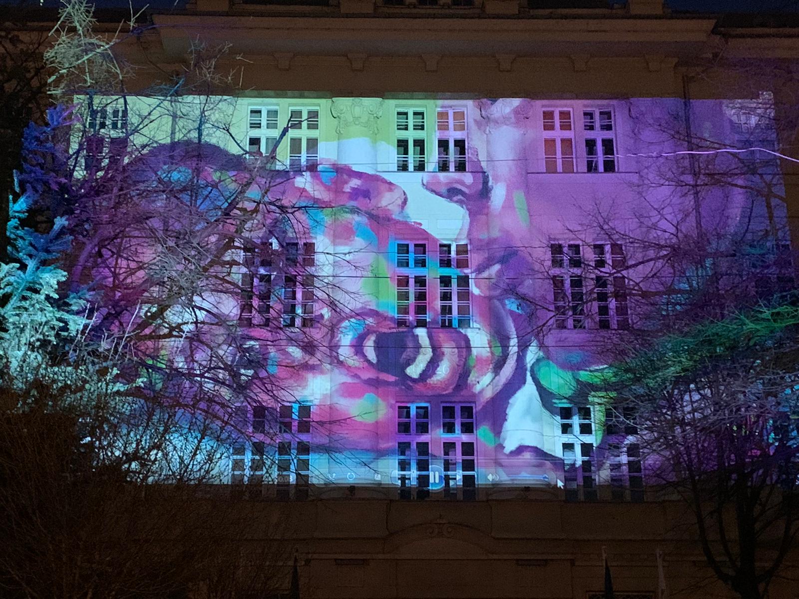 ziua bolilor rare timisoara 10