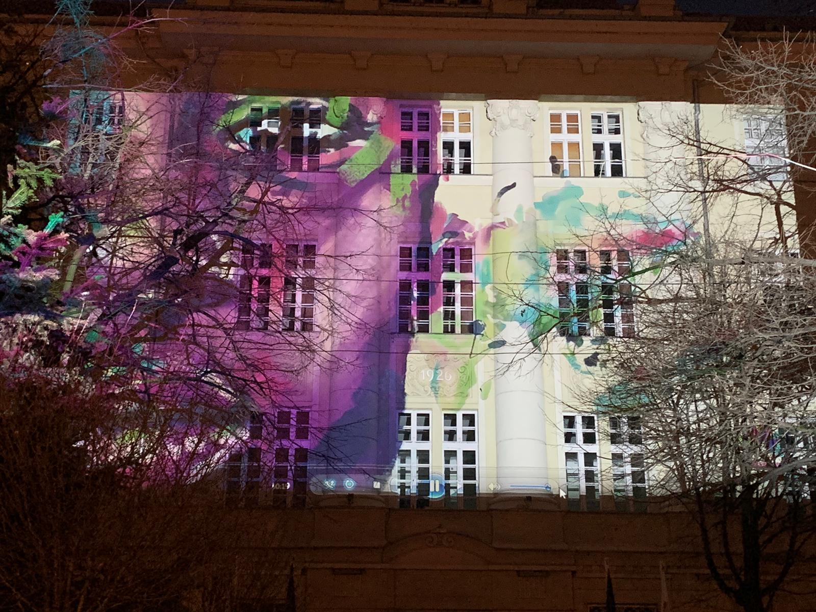 ziua bolilor rare timisoara 1