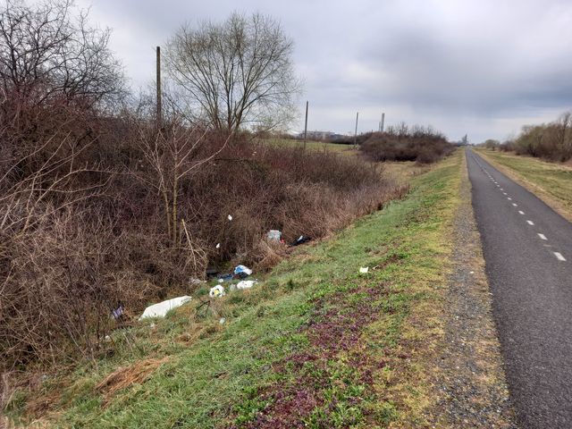 160328033_506957637373252_2873112267683871244_n