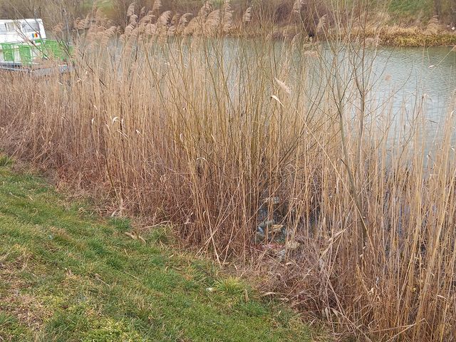 160397476_257842749392390_7447026647529549999_n