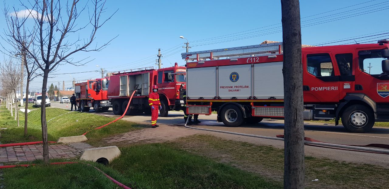 WhatsApp Image 2021-03-31 at 15.40.09(2)