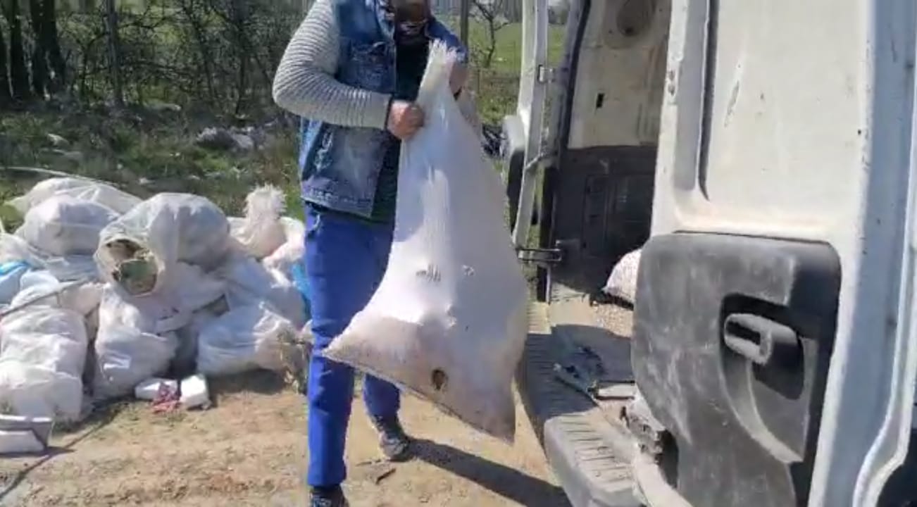 WhatsApp Image 2021-03-31 at 20.16.40