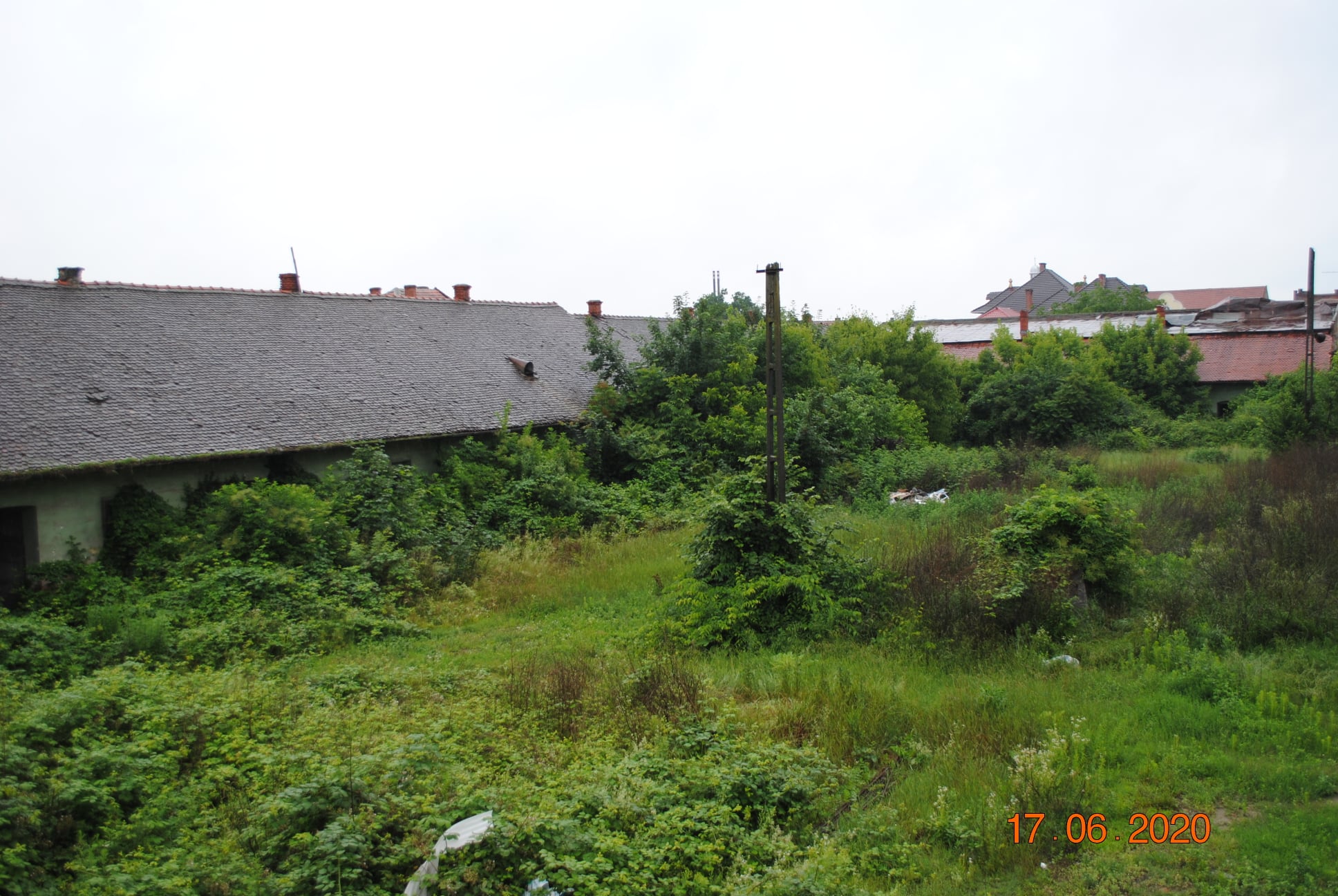 166982149_721407048531065_2384544436827644613_n