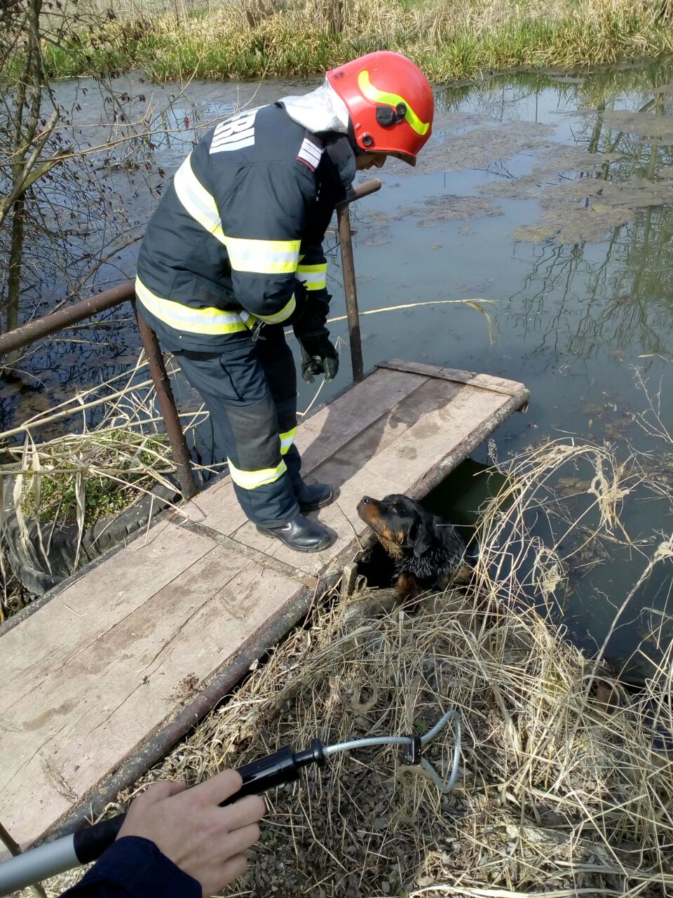 WhatsApp Image 2021-04-01 at 15.53.38