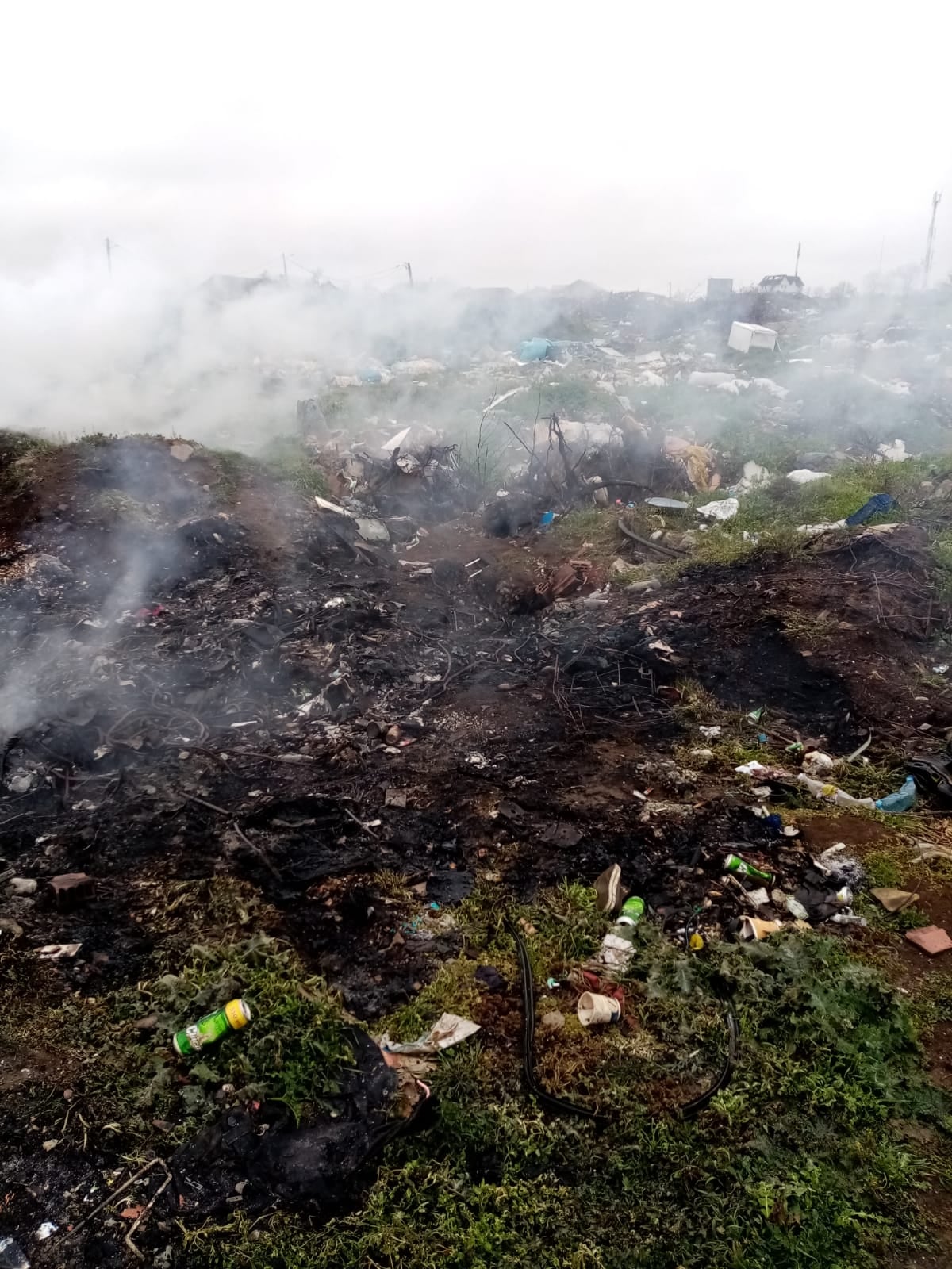 Primăria Fibiș, amendată pentru gunoaie arse