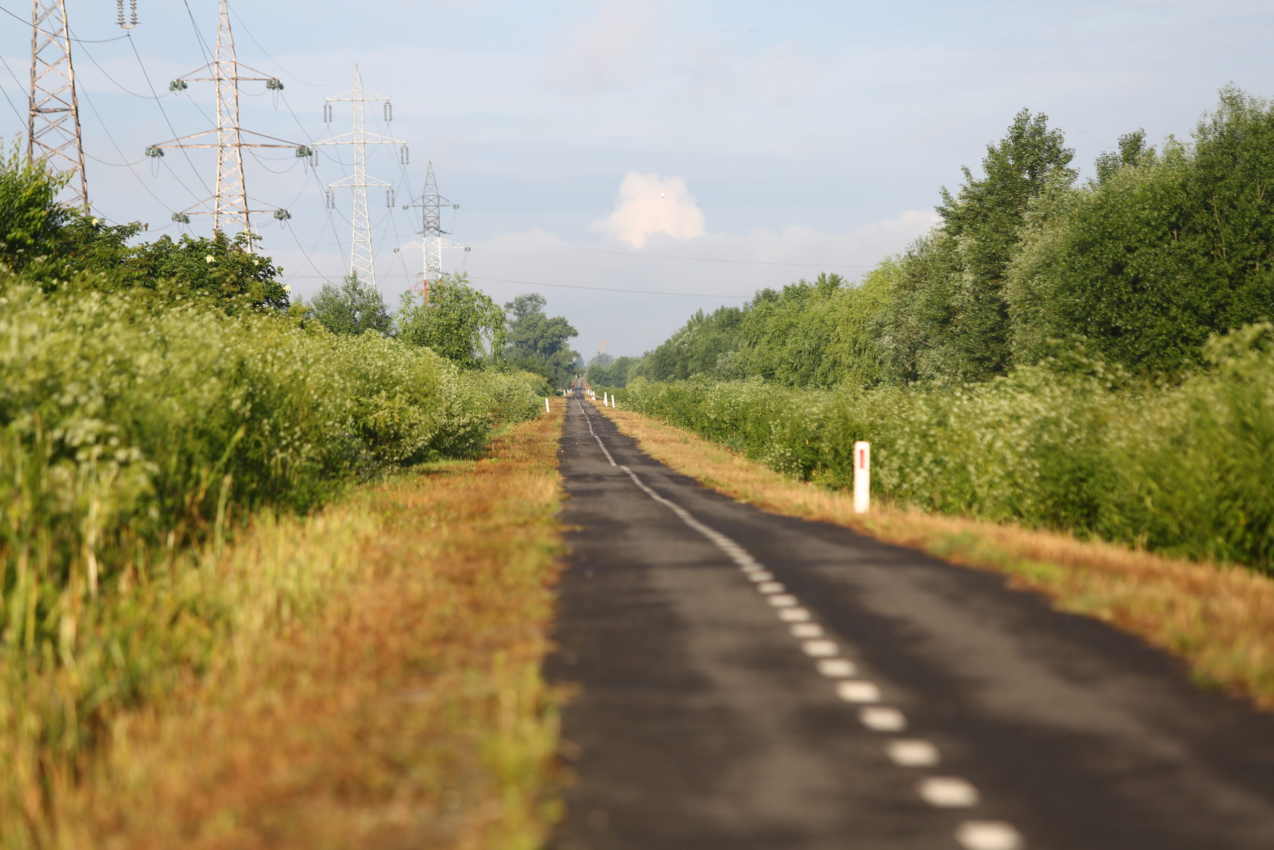 pista biciclete spre Serbia pe malul Begai (1)