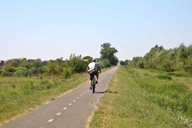 pista biciclete spre Serbia pe malul Begai (5)