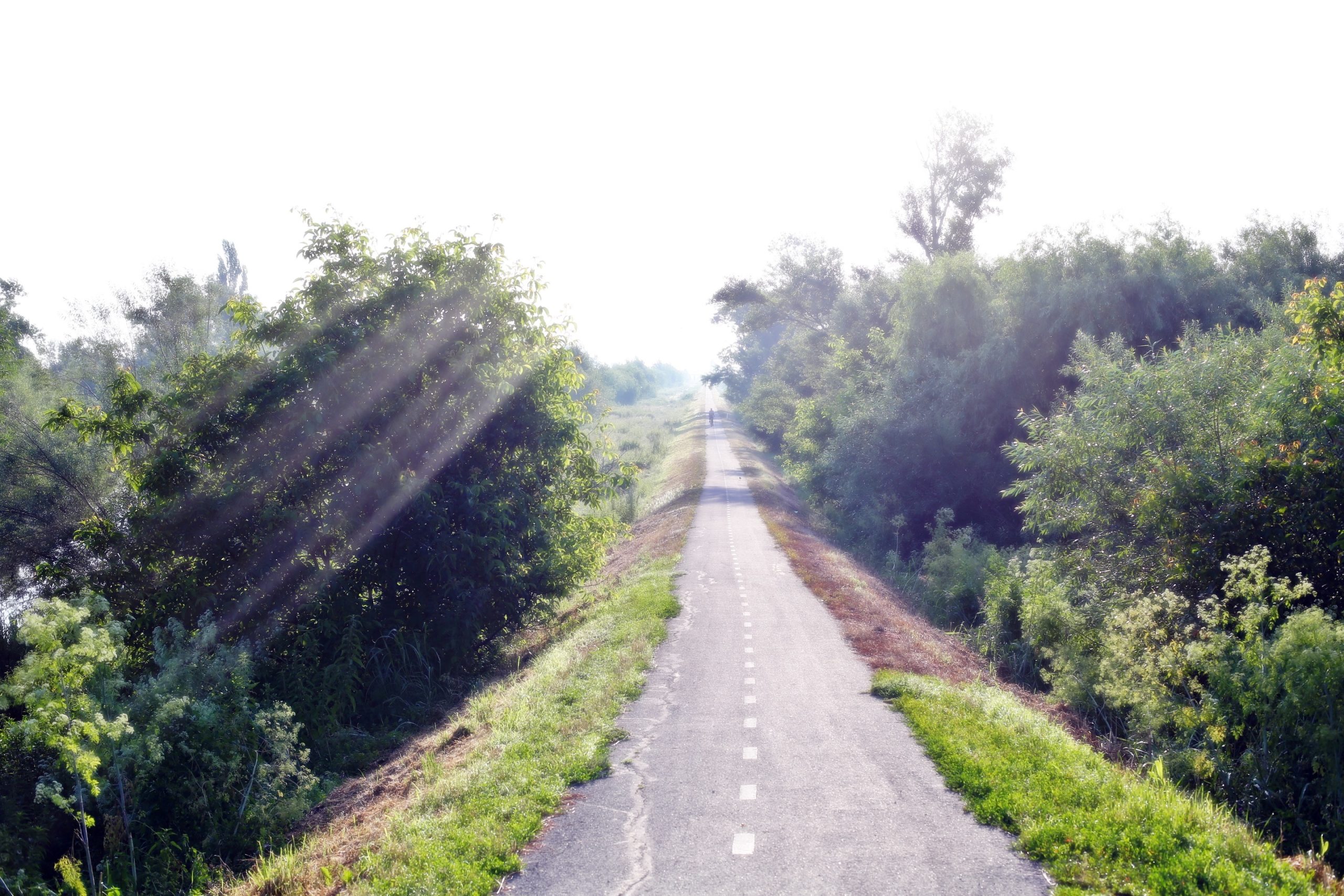 pista biciclete spre Serbia pe malul Begai (2)