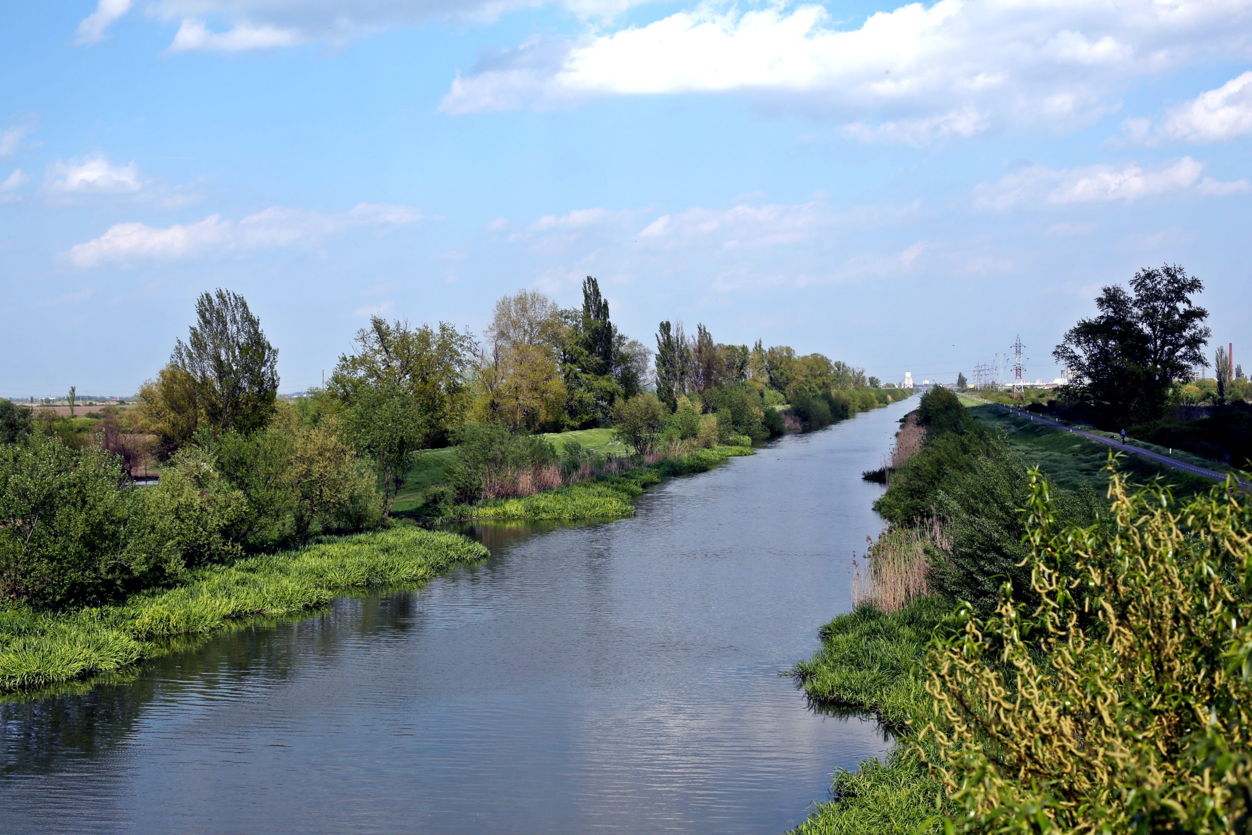 pista biciclete spre Serbia pe malul Begai (3)