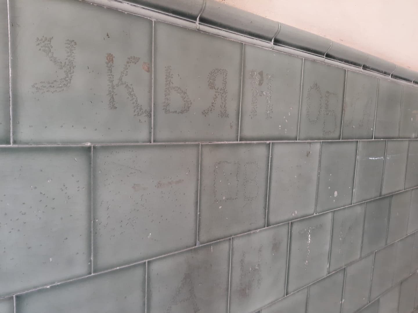 174010696_1907928212694591_7459267221569855058_n