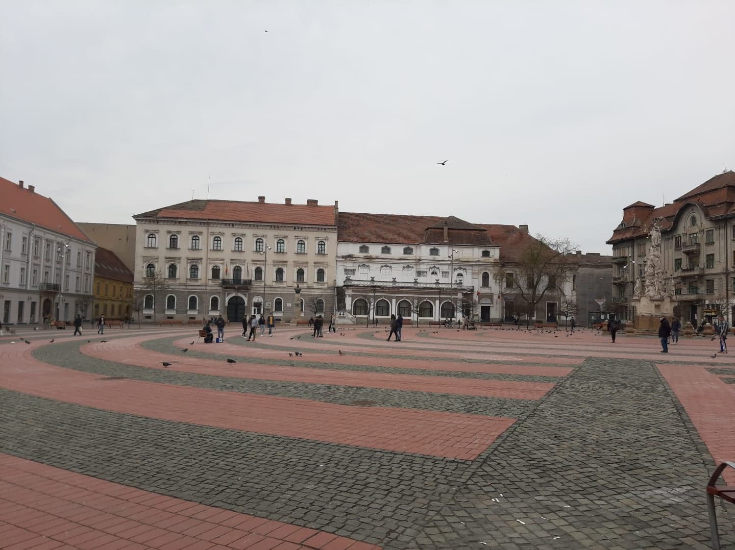 174559978_505768850438579_5975654863634449243_n