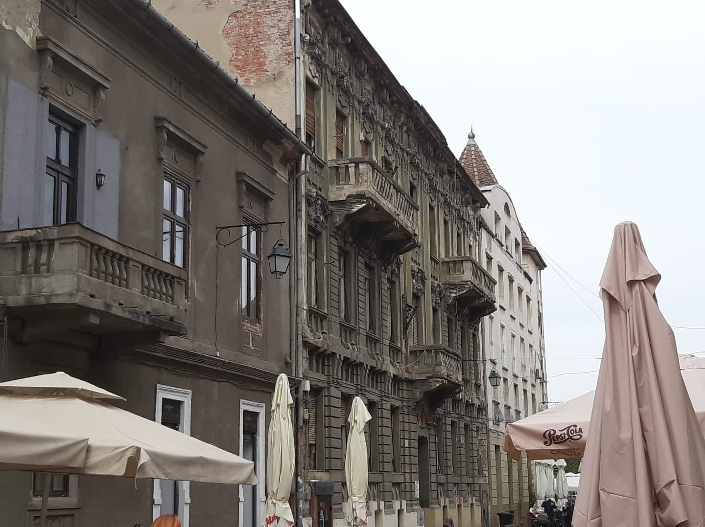 174631731_148671333861615_99757839502373112_n