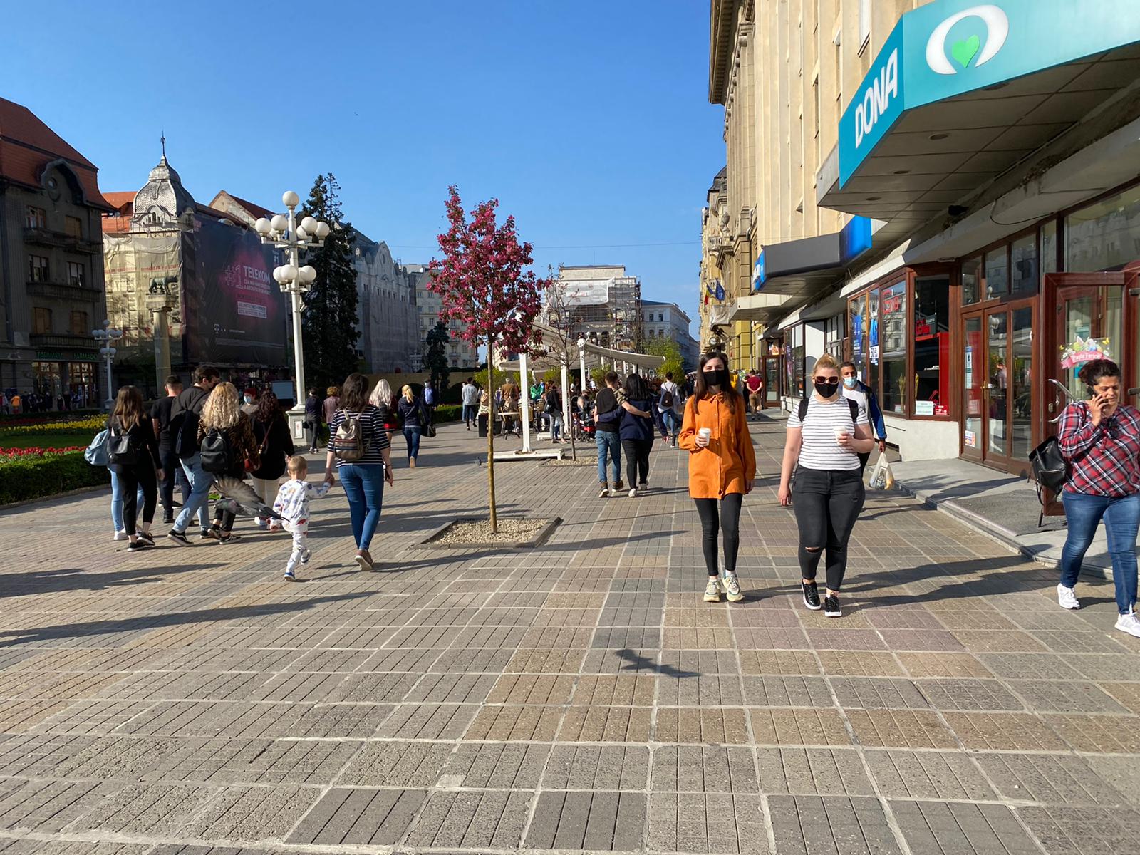 centru pasti paste (6)