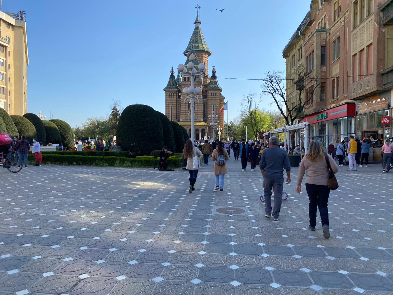 centru pasti paste (9)