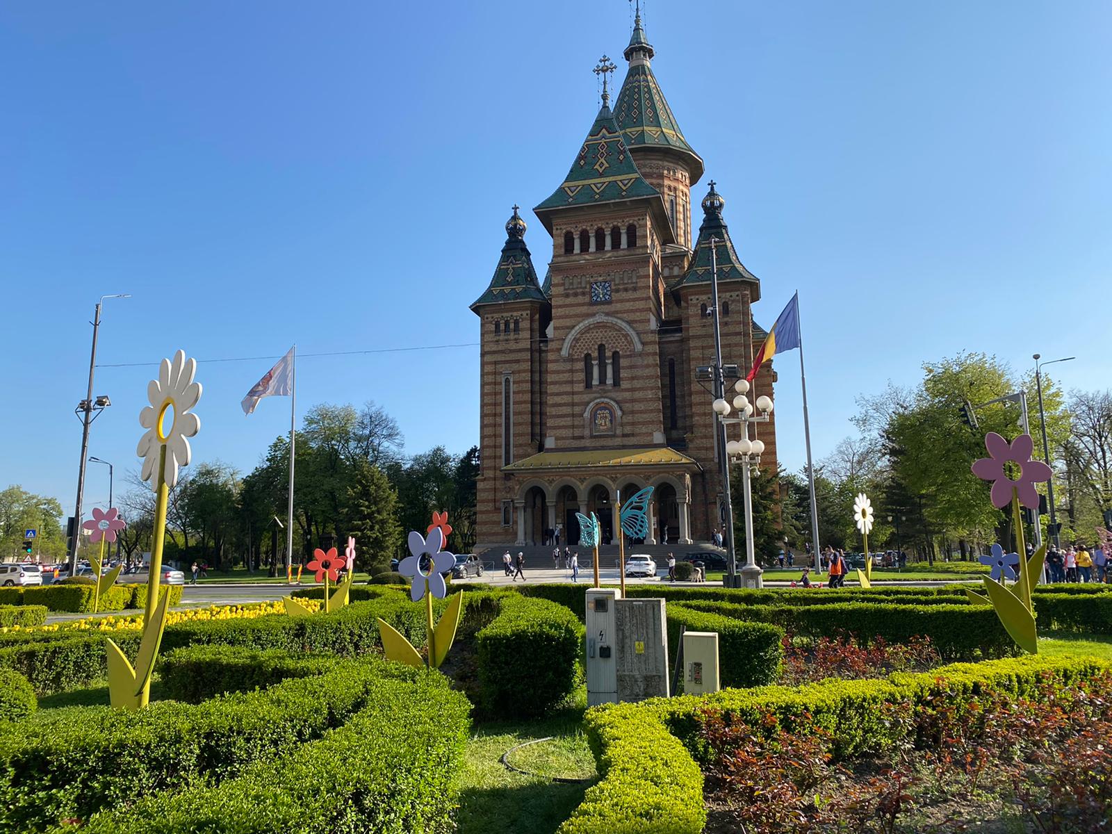 centru pasti paste (10)