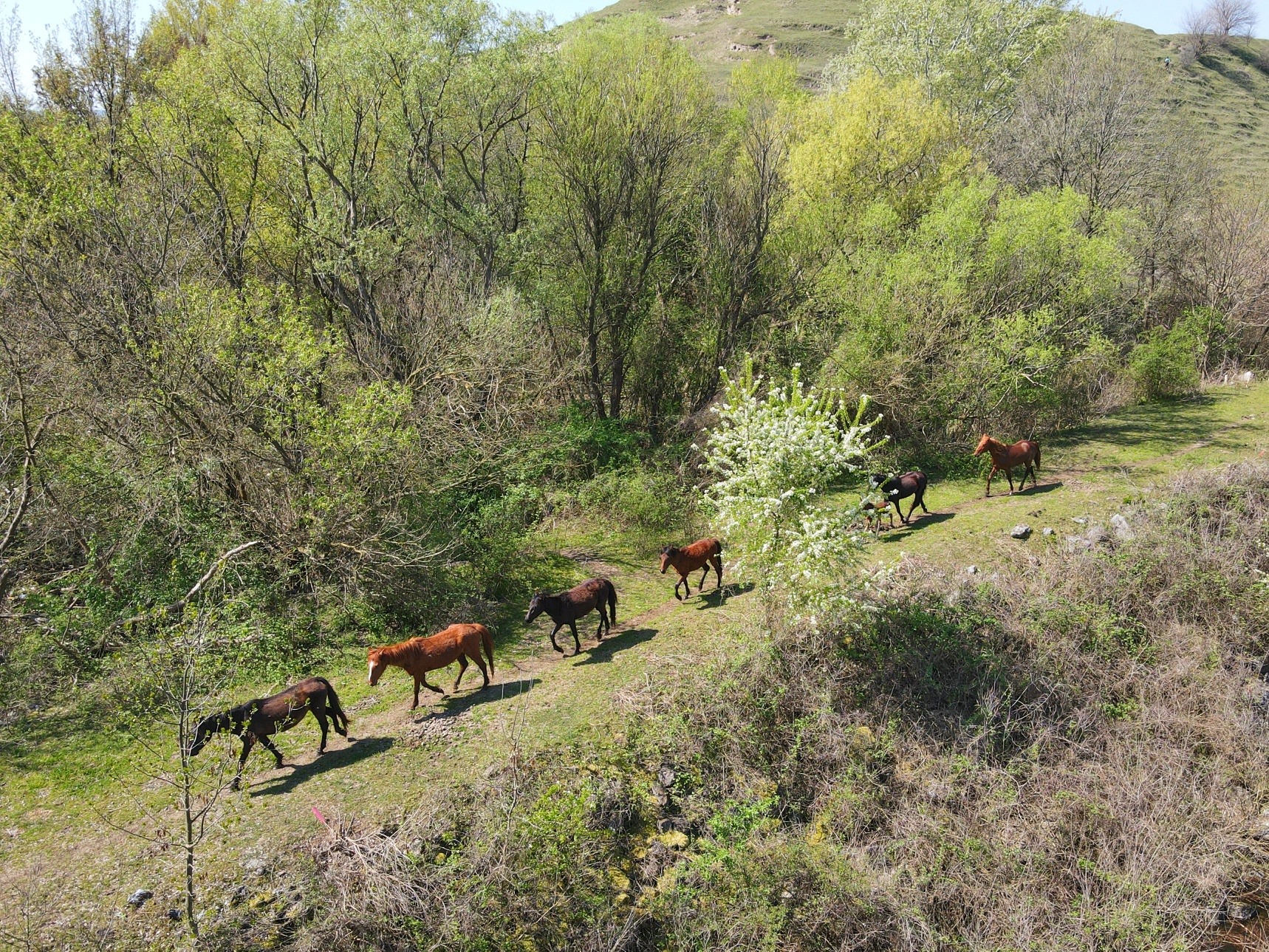 177554734_4479899928704346_8999013854212899190_n