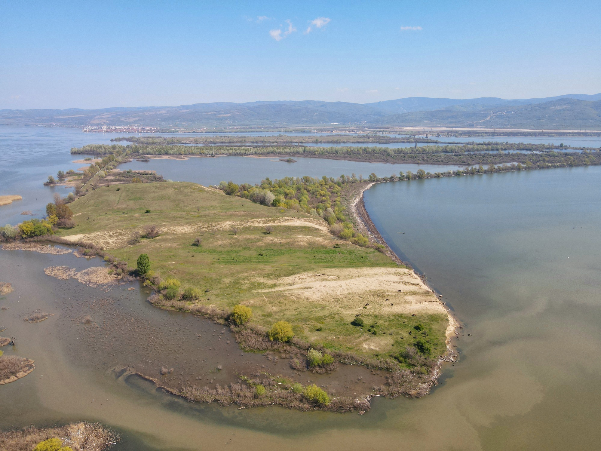 178017700_4479900415370964_8870921181726844475_n