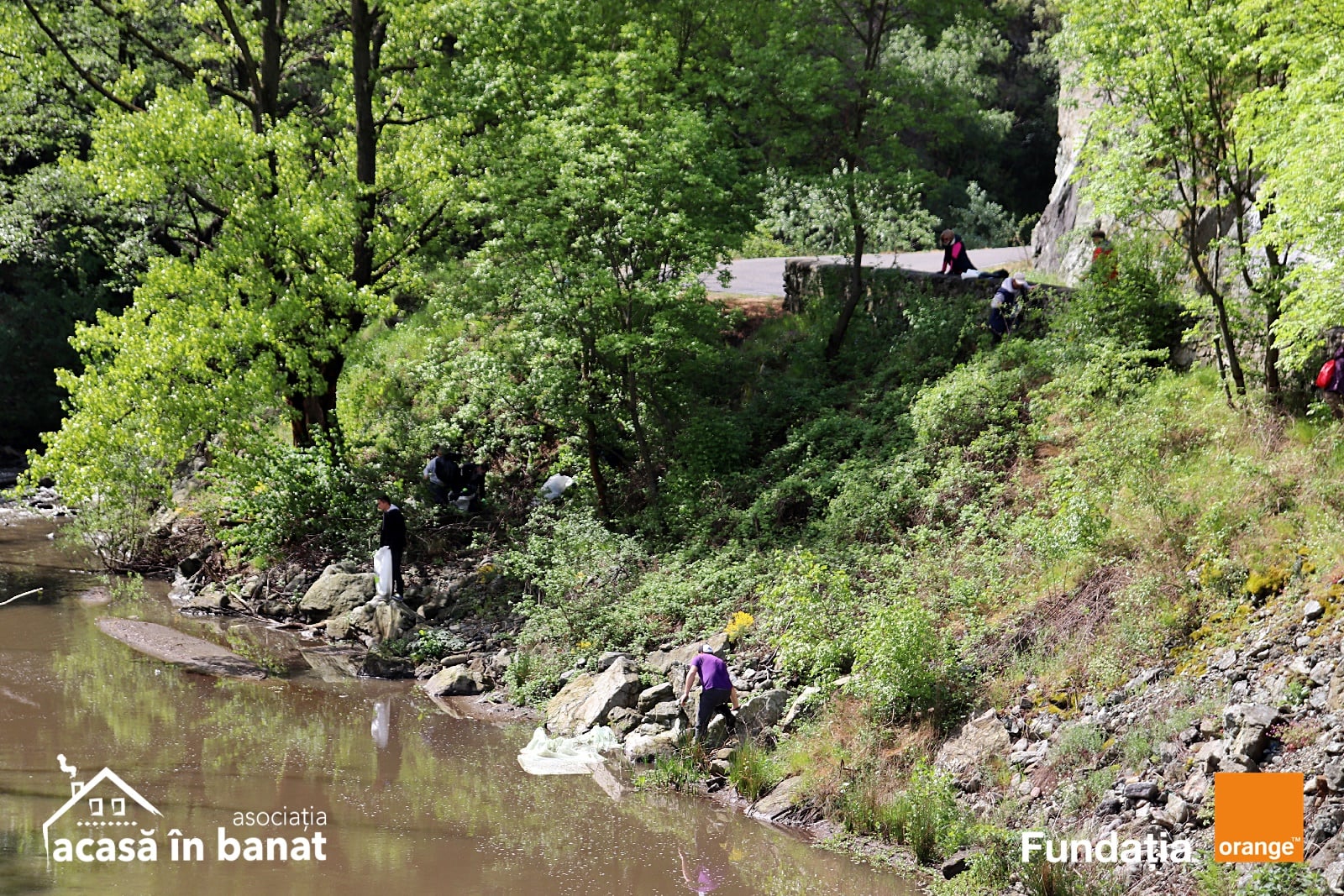 186513677_1186015308514440_2060638372918346466_n