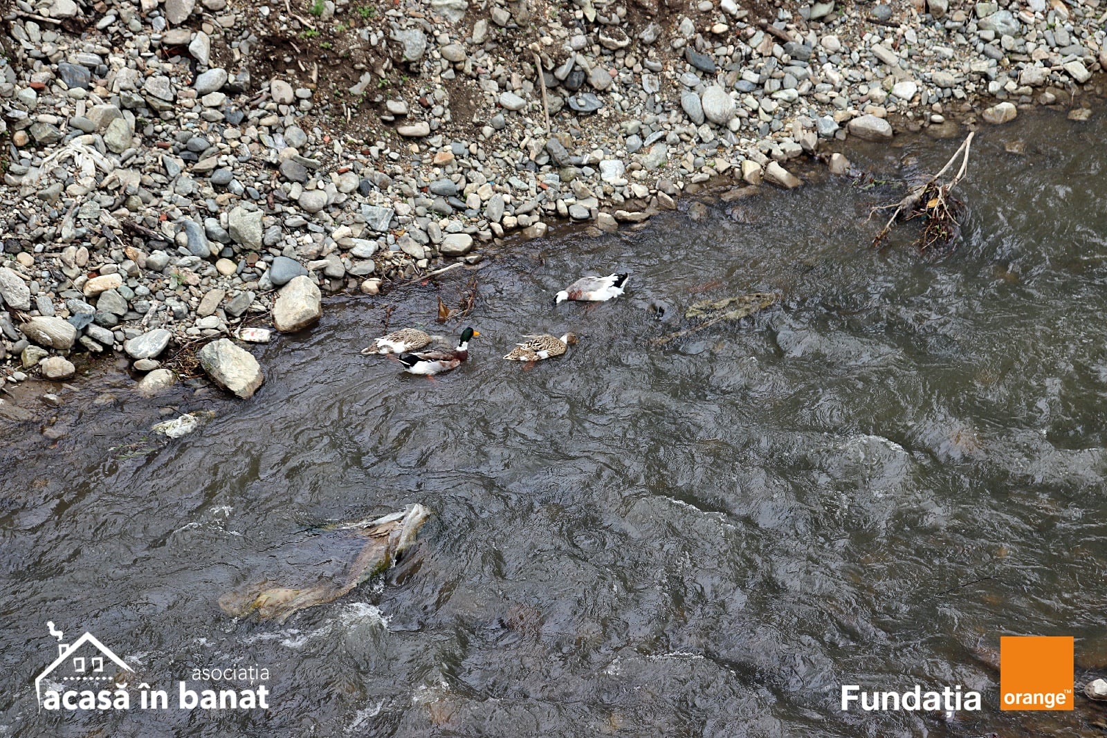 186929093_1186016645180973_7332880634913653602_n