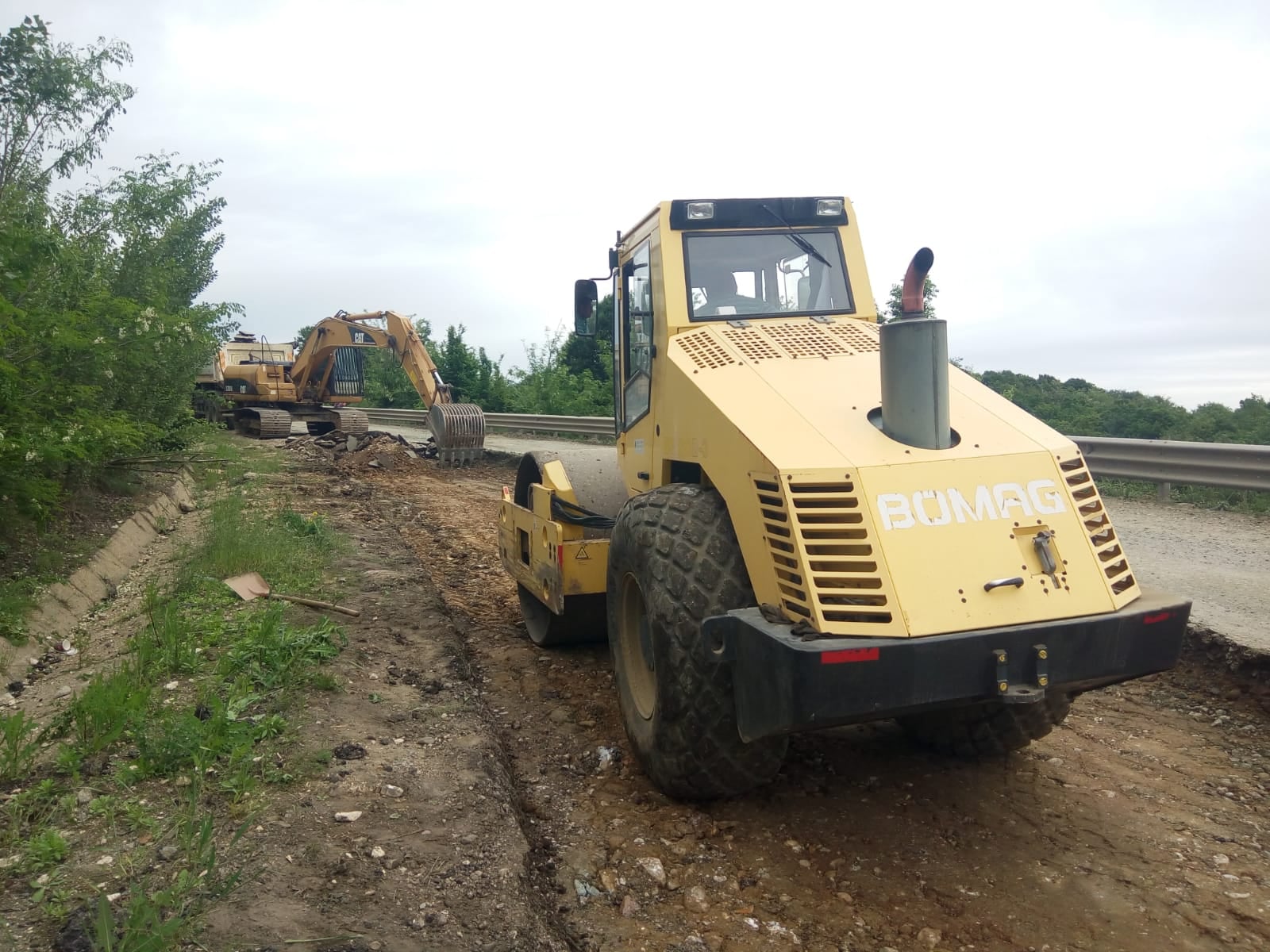 margina holdea DRDP6