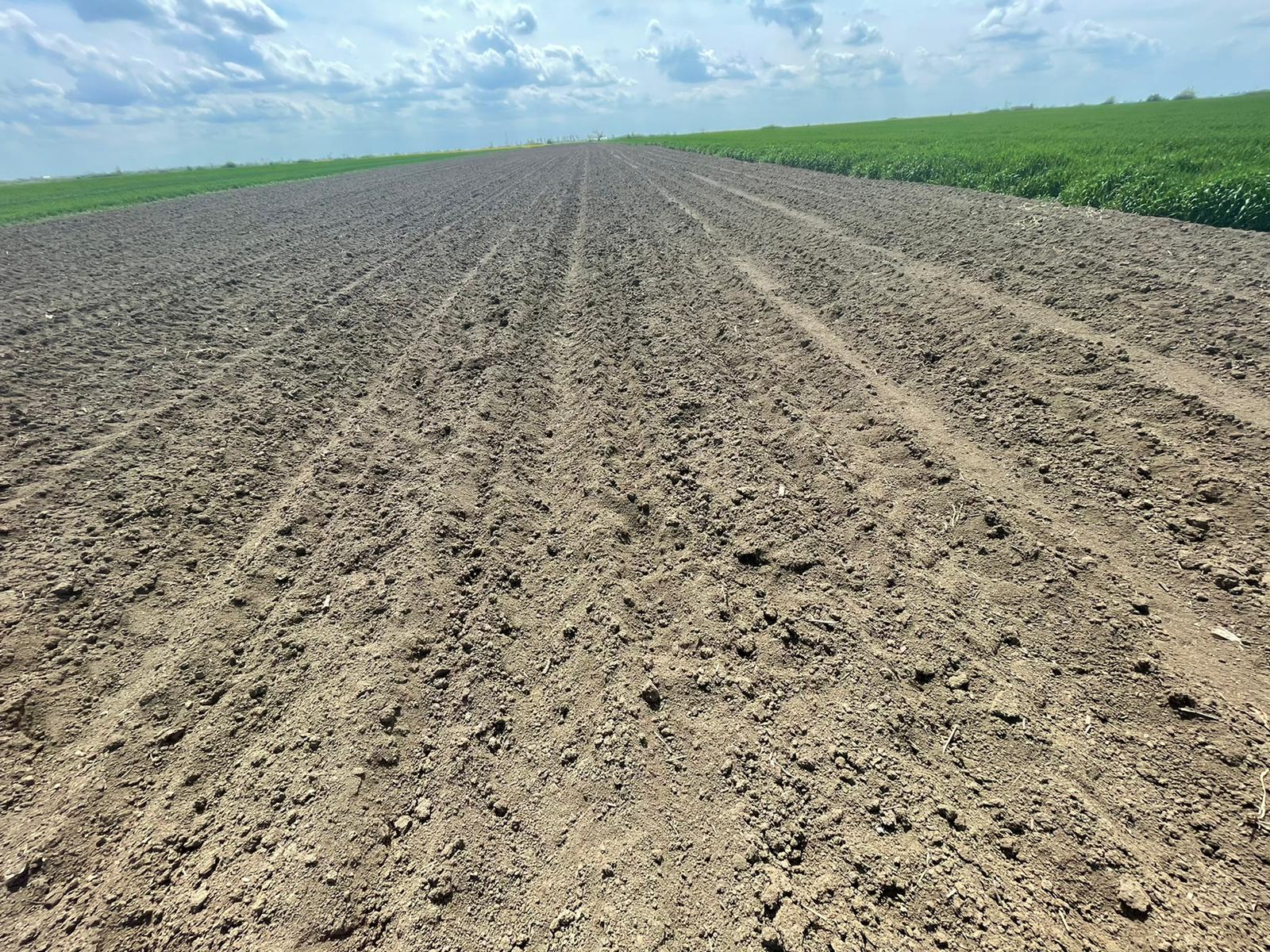 WhatsApp Image 2021-05-01 at 12.12.13