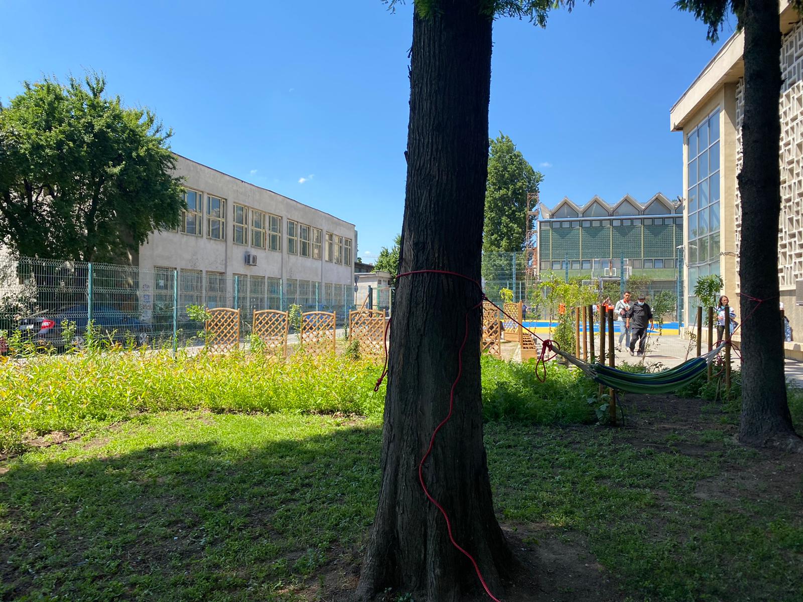 gradina urbana UVT10