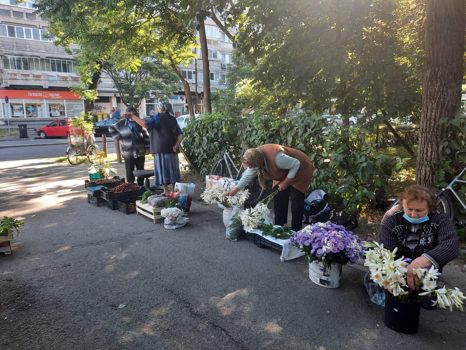 piata zona gh lazar desfiintare 2