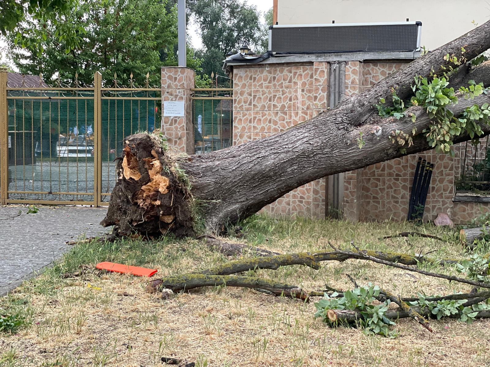 WhatsApp Image 2021-06-25 at 20.04.45(3)