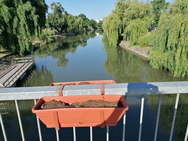 jardiniere goale foto sergiu miat facebook 1