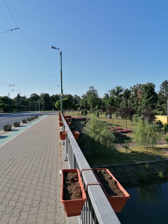 jardiniere goale foto sergiu miat facebook 2