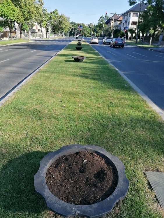 jardiniere goale foto sergiu miat facebook 3