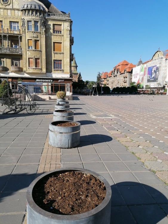 jardiniere goale foto sergiu miat facebook 5