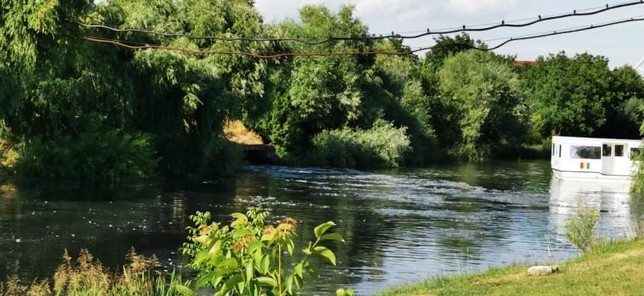 statie de epurare (5)