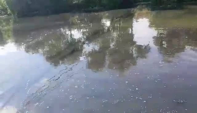 statie de epurare (1)