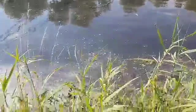 statie de epurare (2)