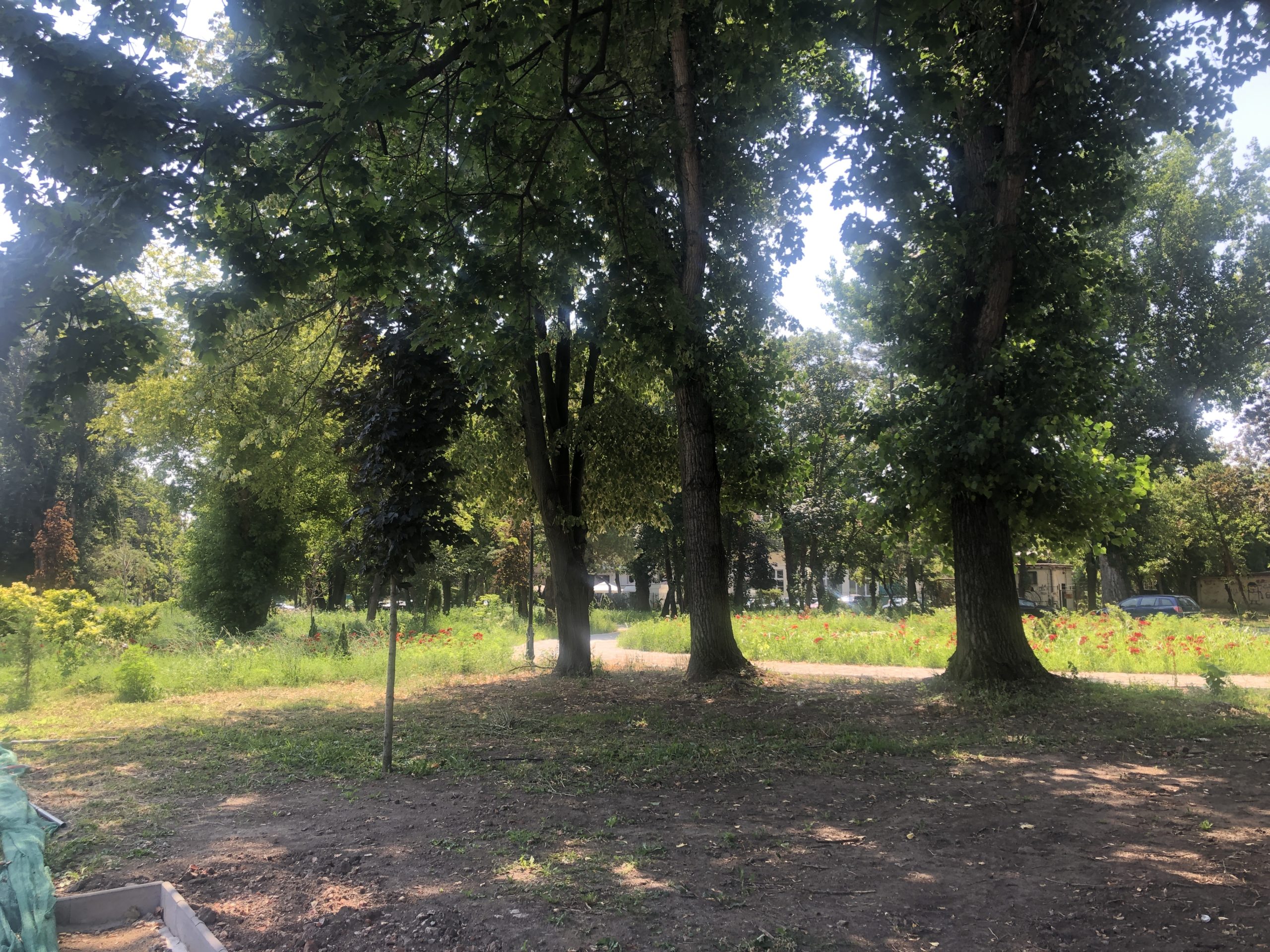 santier parcul civic 10 iulie 2021 2