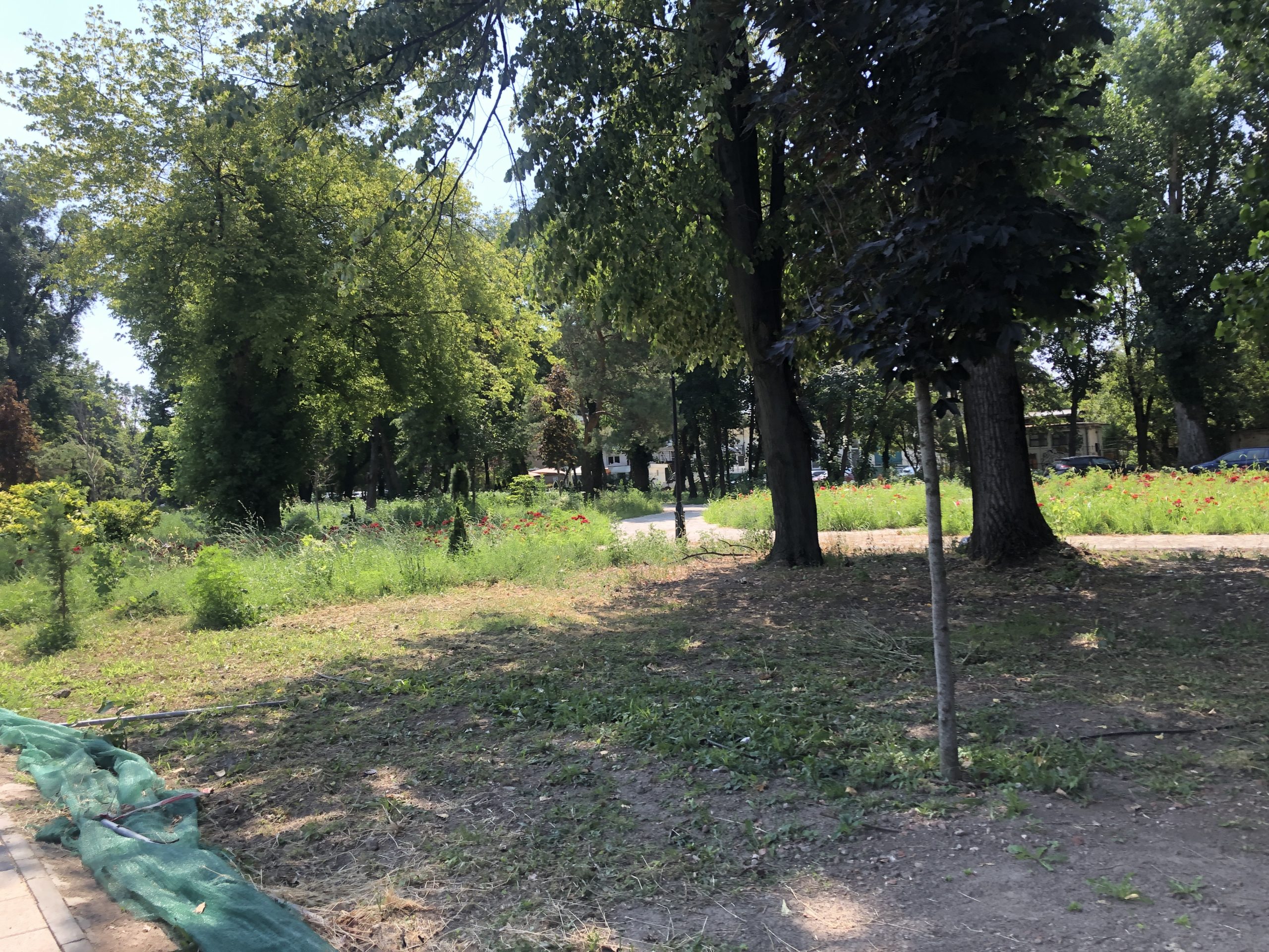 santier parcul civic 10 iulie 2021 5