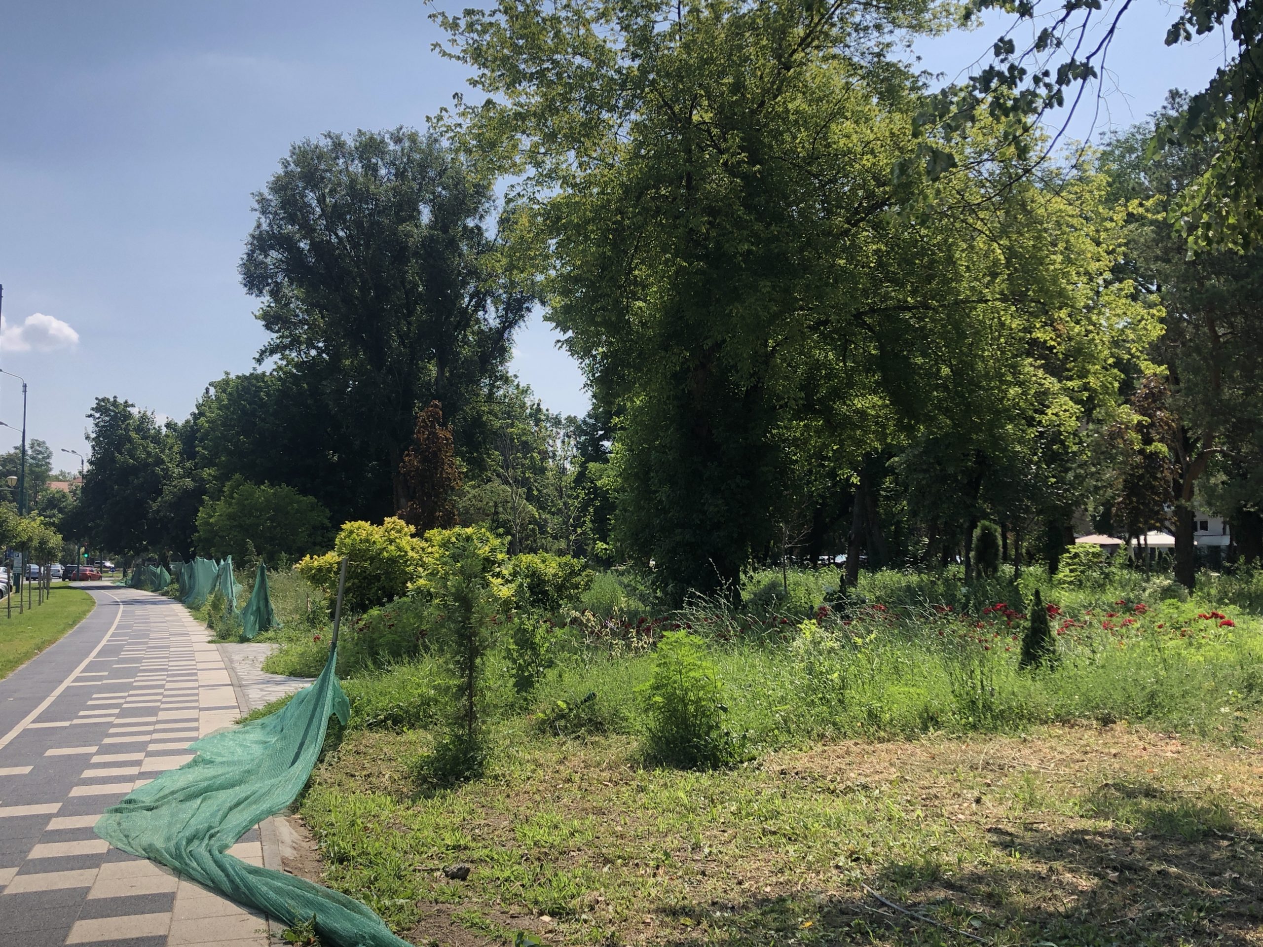 santier parcul civic 10 iulie 2021 7