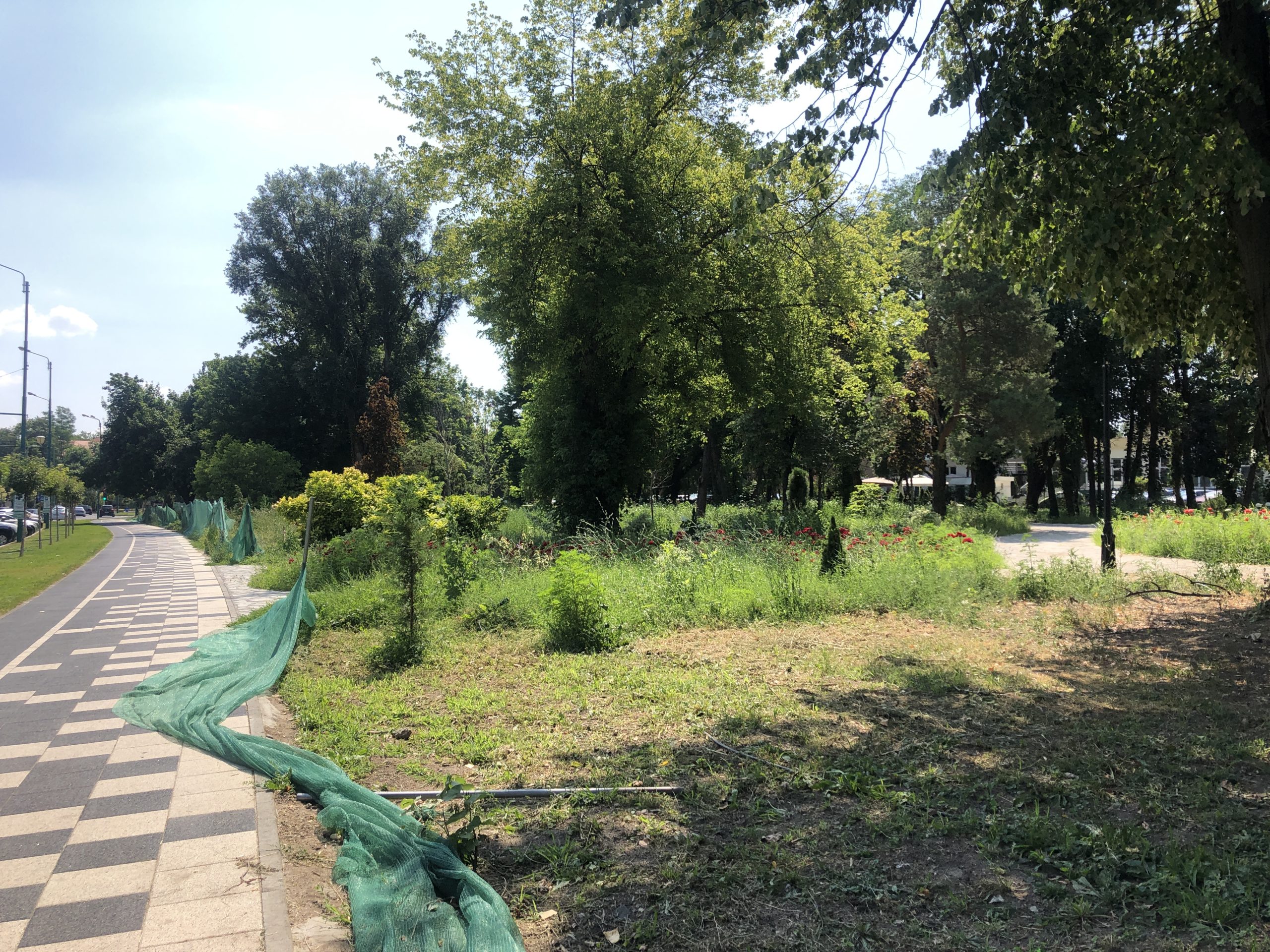 santier parcul civic 10 iulie 2021 8