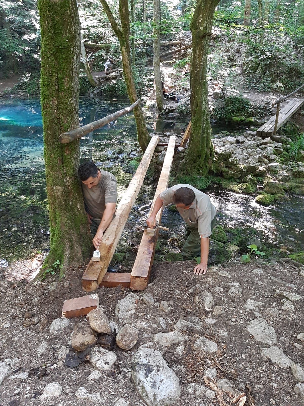 poduri Parcul Național Cheile Nerei-Beușnița(27)